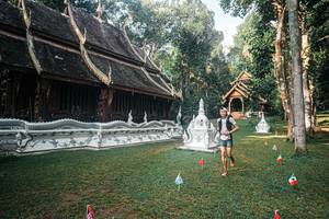 BIB: 
                            <button type="button" onclick="openModal(25759690)" class="btn btn-primary btn-sm float-right btn-popup" data-toggle="modal" data-target=".modal-high-quality">
                        <i class="fas fa-shopping-cart"></i> Add to Cart
                    </button>
                                            <button type="button" onclick="isThisMe(25759690, true)" class="btn btn-success btn-sm float-right btn-popup btn-isme hidden" data-toggle="tooltip" data-placement="bottom" title="นี่คือรูปของคุณใช่ไหม คลิกที่นี่เพื่อเอาเข้าอัลบั้ม">
                        <i class="fas fa-plus"></i> Add to album
                    </button>
                    <button type="button" onclick="isThisMe(25759690, false)" class="btn btn-warning btn-sm float-right btn-popup btn-isnotme hidden">
                        <i class="fas fa-ban"></i> Remove from album
                    </button>